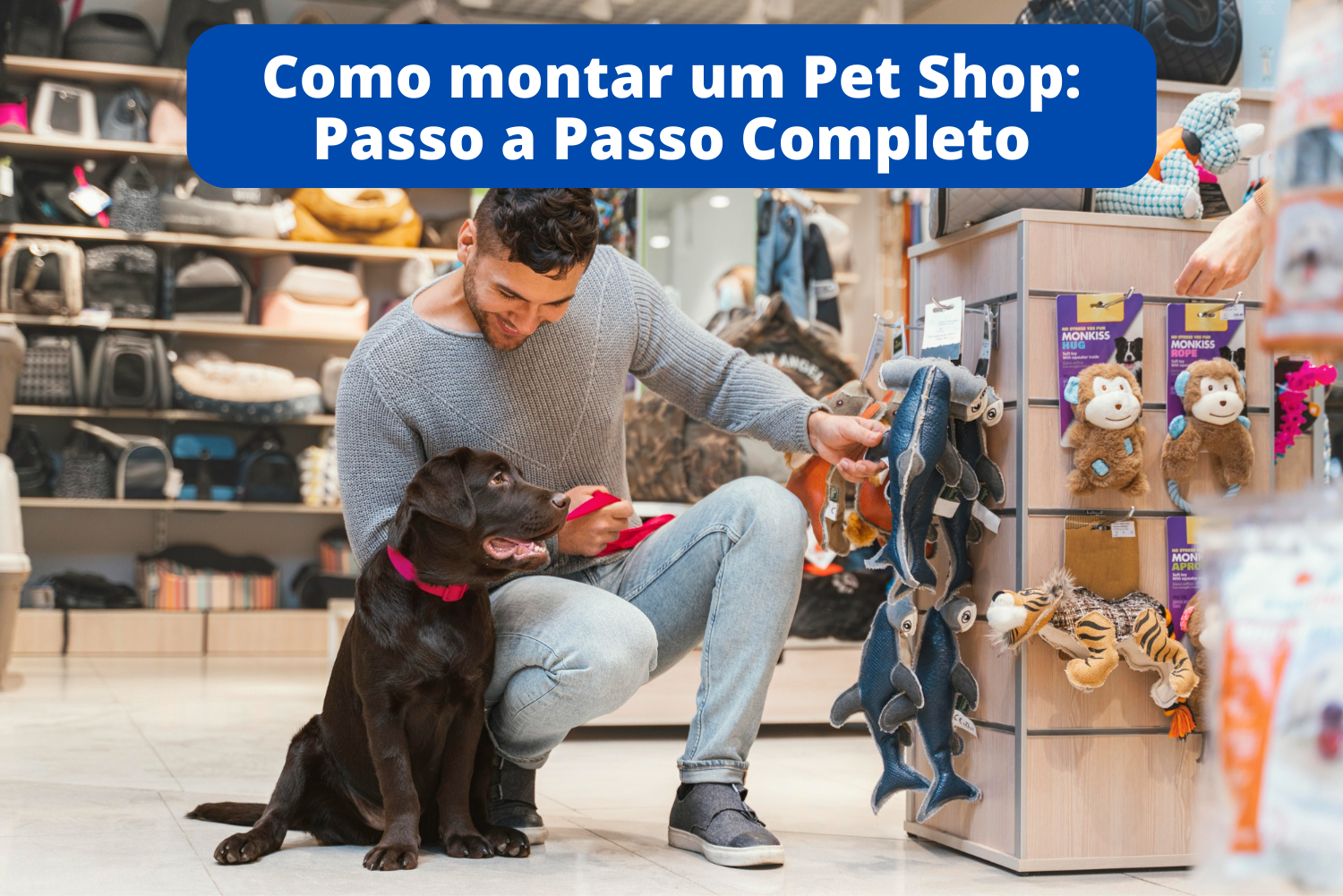 Pensa em abrir um pet shop? Veja 10 dicas do Sebrae, PME